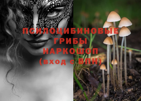 MDMA Premium VHQ Белокуриха