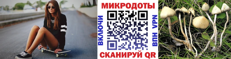 Галлюциногенные грибы GOLDEN TEACHER  даркнет сайт  Высоковск 